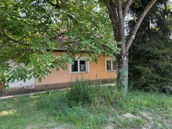 IMG_1149