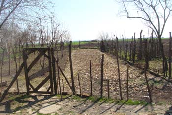 DSC00957