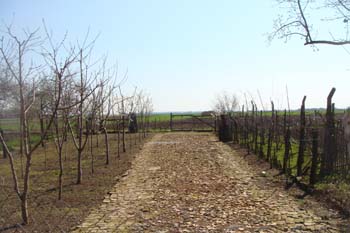 DSC00958