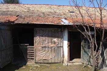 DSC00959