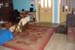 DSC00931