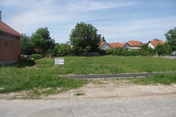 DSC09494